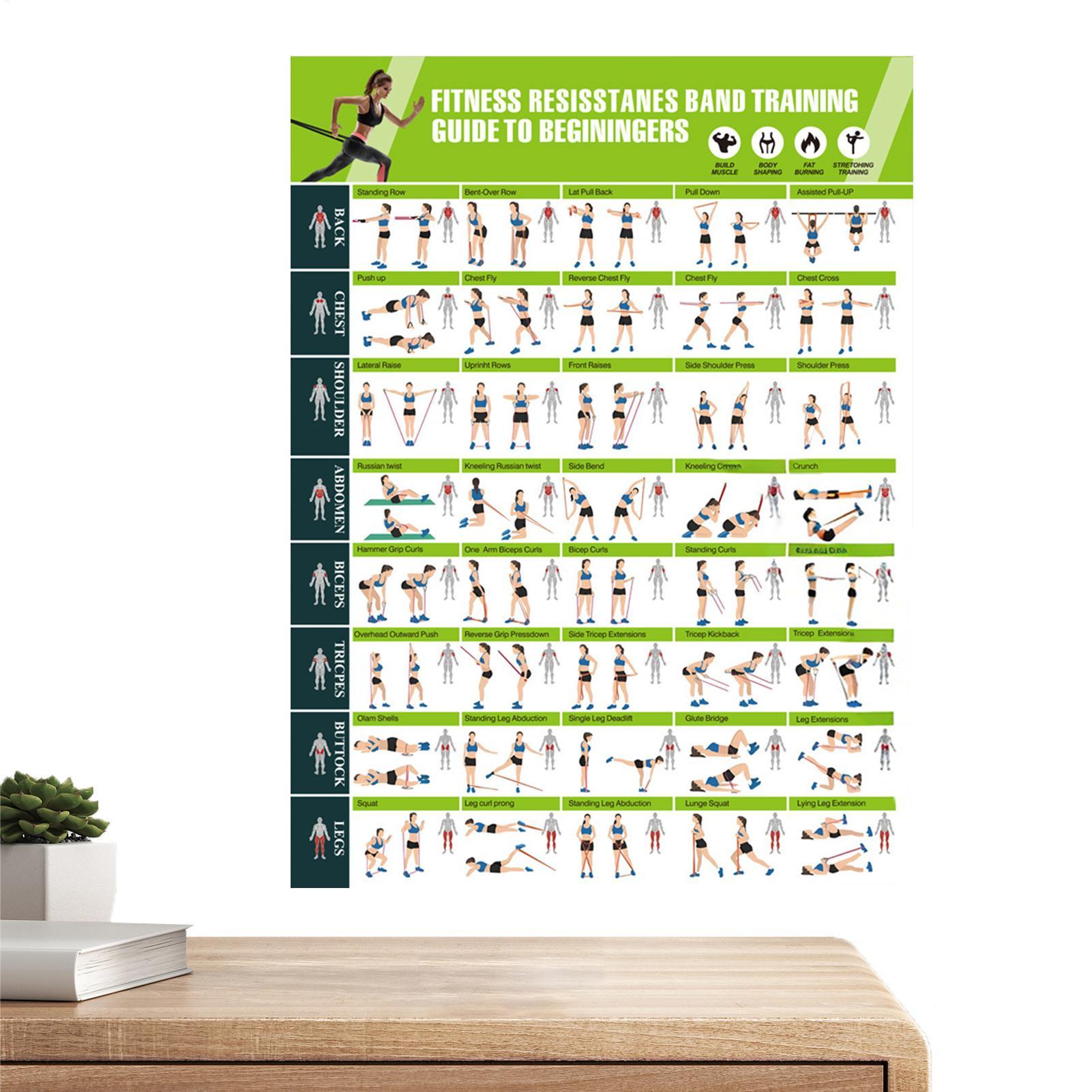 Poster Latihan Pita Resistensi - Women Accessories Poster ulasan dan harga