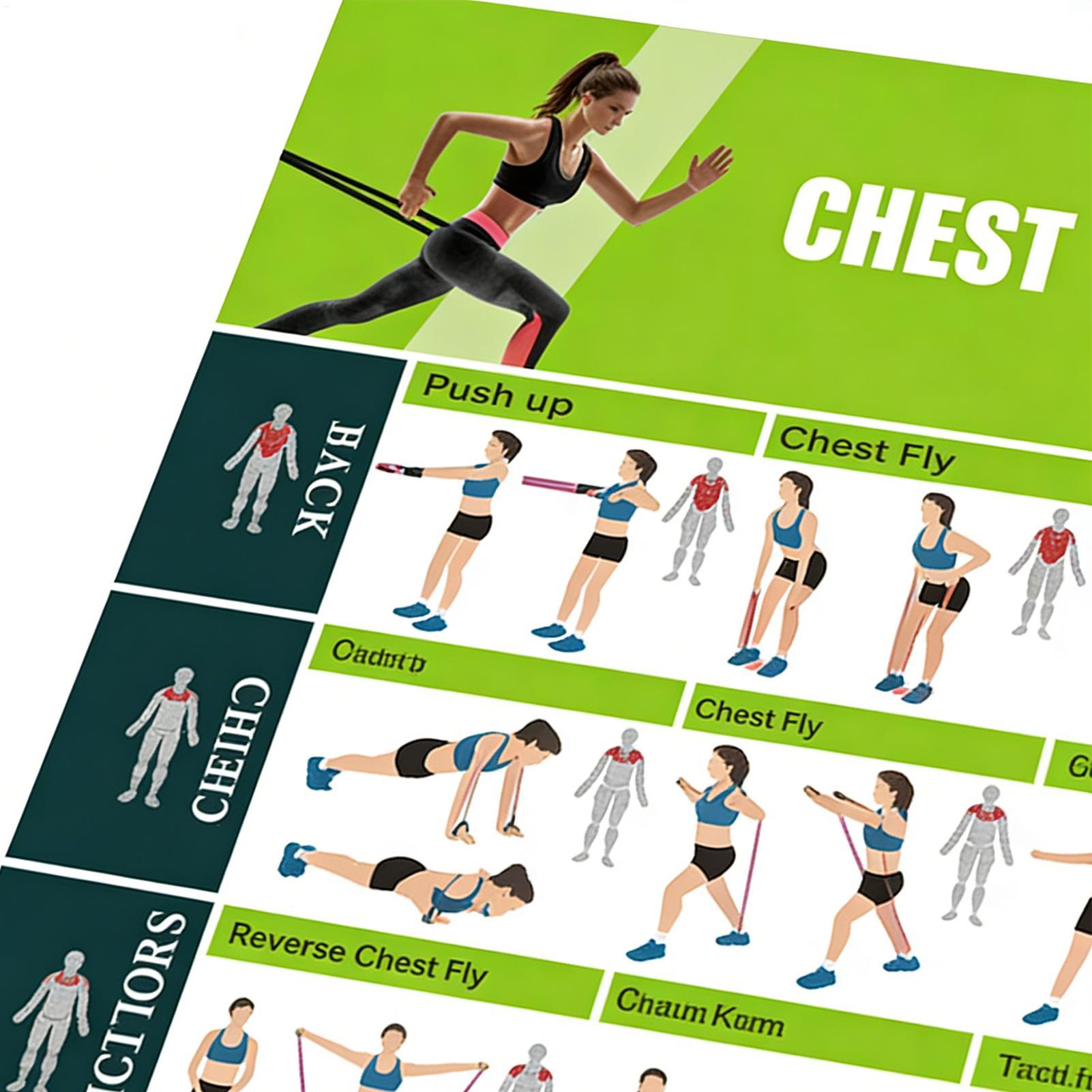 Poster Latihan Pita Resistensi - Women Accessories Poster ulasan dan harga